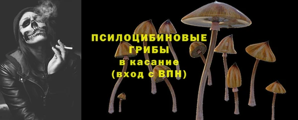 метамфетамин Покачи