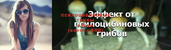 PSILOCYBIN Абдулино