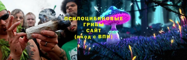 Альфа ПВП Абаза