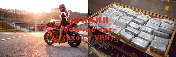 PSILOCYBIN Абдулино